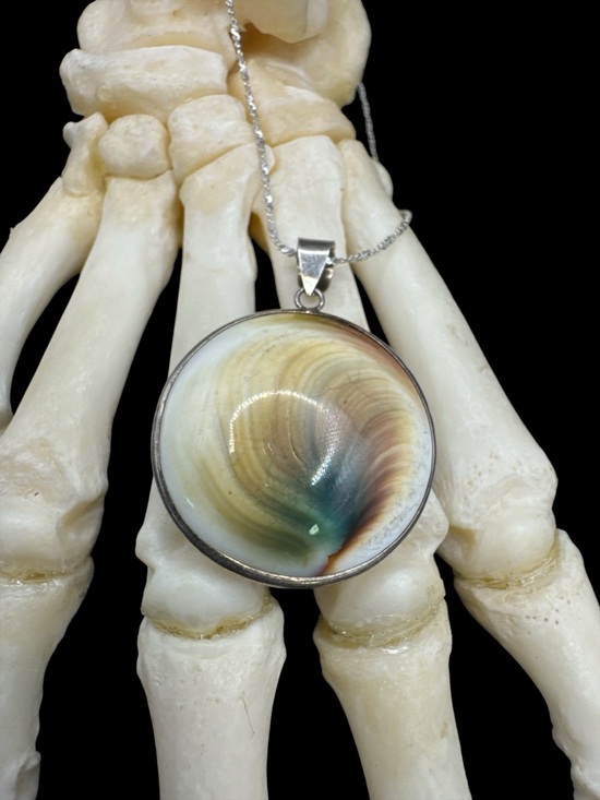 Vintage Jewelry - Vintage Sterling Silver Operculum Shell Pendant Necklace 16” Sterling Evil Eye